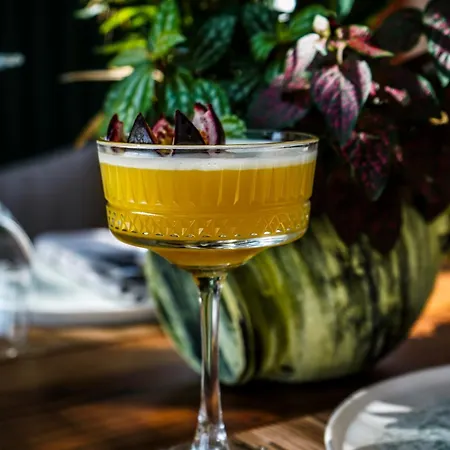 Saly فندق دراس